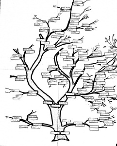 Accès à l&rsquo;arbre généalogique